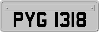 PYG1318