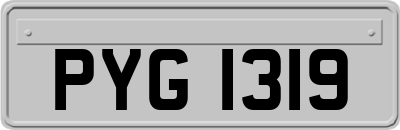 PYG1319