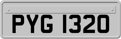 PYG1320