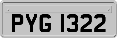 PYG1322