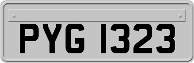 PYG1323