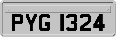 PYG1324