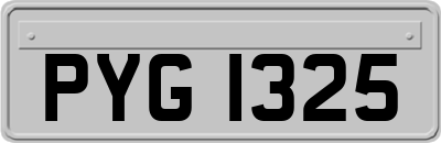 PYG1325