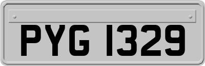 PYG1329