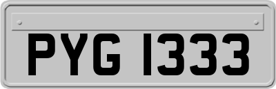 PYG1333