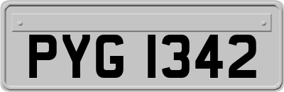 PYG1342