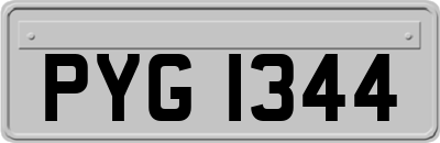 PYG1344