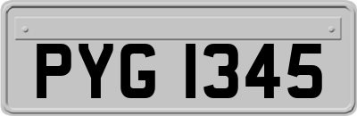 PYG1345