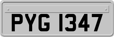 PYG1347