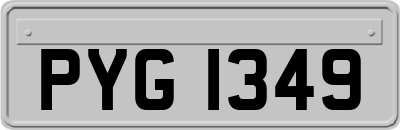 PYG1349