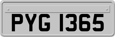 PYG1365