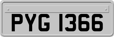 PYG1366