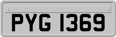 PYG1369