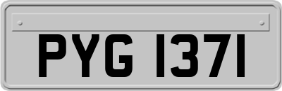 PYG1371