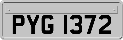 PYG1372