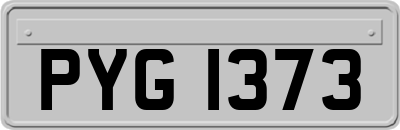 PYG1373