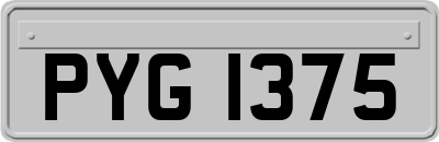 PYG1375