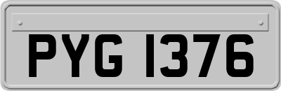 PYG1376