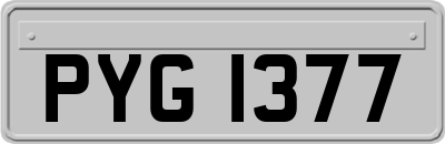 PYG1377