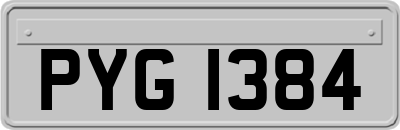 PYG1384