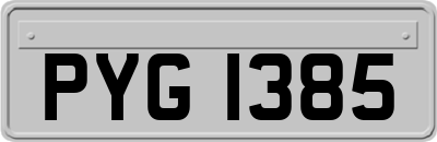 PYG1385