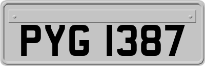 PYG1387