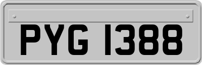 PYG1388