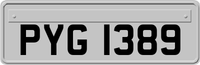 PYG1389