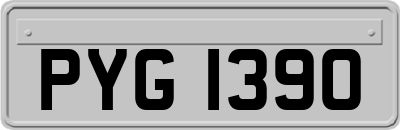 PYG1390