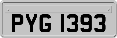 PYG1393