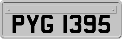 PYG1395