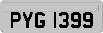 PYG1399