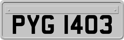 PYG1403