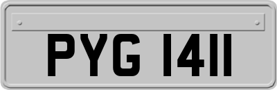 PYG1411