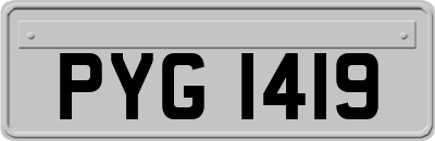 PYG1419