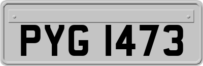 PYG1473