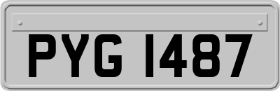 PYG1487