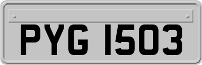 PYG1503