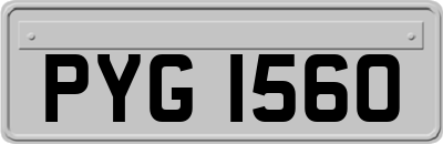 PYG1560