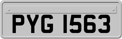 PYG1563