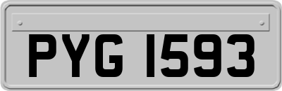 PYG1593