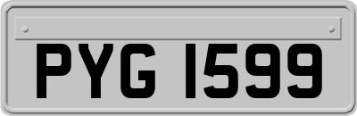 PYG1599