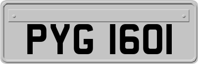 PYG1601