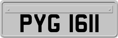 PYG1611