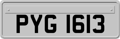 PYG1613