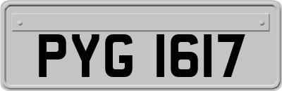 PYG1617