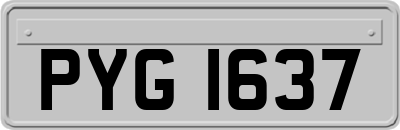 PYG1637