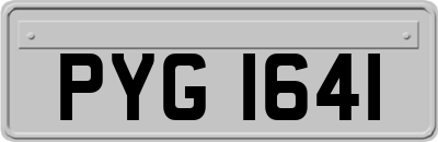 PYG1641