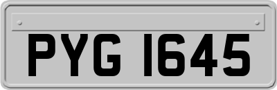 PYG1645