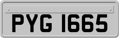 PYG1665